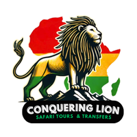 Conquering Lion Safari Tours & Transfers